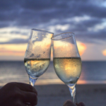 Toulouse - Etude sur les vins blancs - dédommagée 50 euros - 23 avril 2019