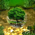 Paris - La mairie de Paris vous offre des arbres pour votre jardin