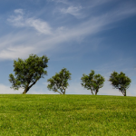 Nantes - étude sur les problèmes environnementaux - dédommagée 60€ - 4, 5 et 6 décembre 2018 #Environnement #N...