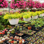 Lyon et Paris - étude Paysagistes et jardiniers - dédommagée 80€ - 04 ou 05 mars 2019