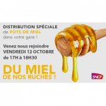 Groslay (95) - Distribution de Miel en gare de Groslay - 12 octobre 2018 à 17h