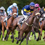 Paris - étude sur les paris sportifs - dédommagée 50€ - 31 janvier ou 01 février 2019