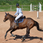 Paris - étude sur la pratique de l'équitation - dédommagée 45€ - 23 et 24 juillet 2019