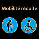 France entière - Etude auprès de professionnels impliqués dans la gestion de la mobilité réduite - dédommagée ...