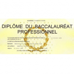 Lille - Étude sur le Bac Pro - Dédommagée 50€ - 16 mars 2021