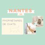 Nantes - Test Produit à domicile - Propriétaires de chats - Dédommagé 30 à 40€ - Du 19 avril au 24 mai 2021