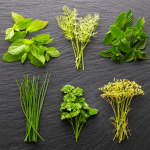 France entière - Etude en ligne sur les herbes aromatiques - Dédommagée 90€ - Du 15 au 22 avril 2021
