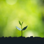 France entière - Étude en ligne sur les traitements naturels - Dédommagée 120€ - Du 23 avril au 4 mai 2021