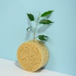 France entière - Test et blog sur le thème des éponges - Dédommagés 40€ - Entre le 20 et le 30 mai 2021