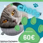 France entière - Étude propriétaires de chats - Dédommagée 60€ - à partir du 19 mars 2025